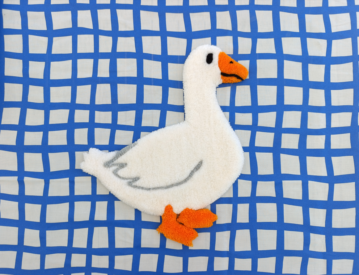 Canard