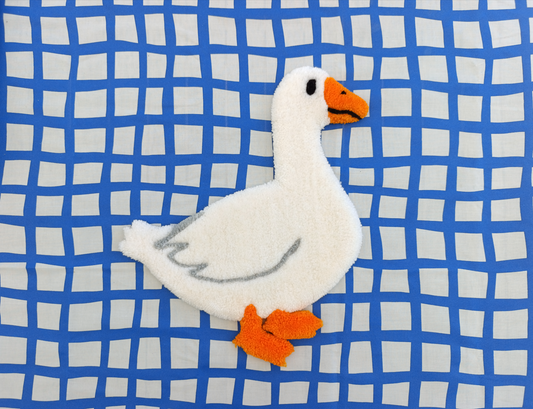 Canard